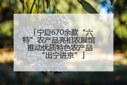 宁夏670余款“六特”农产品亮相农展馆 推动优质特色农产品“出宁进京”